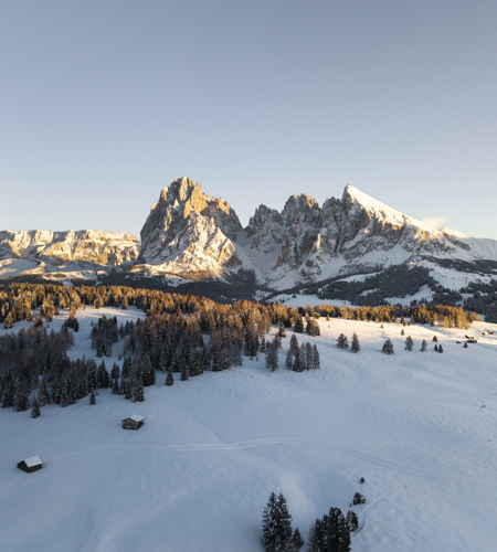 Skifahren Mezdi ©Roschan Fill 20260130.jpg