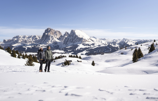 Winterwandern ©Roschan Fill 20260215.jpg