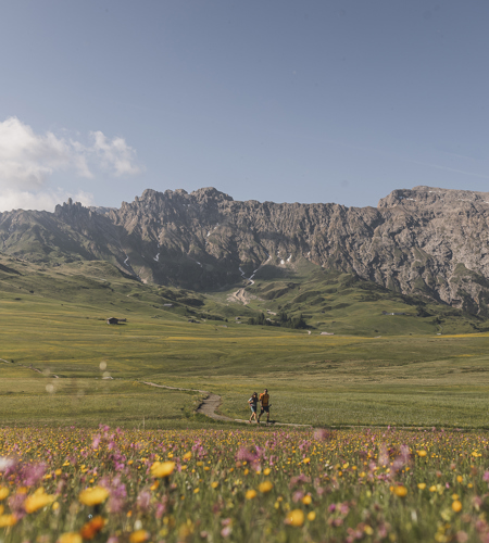 sam-hike_©KOTTERSTEGER_250619_KOT_6712-1939.jpg